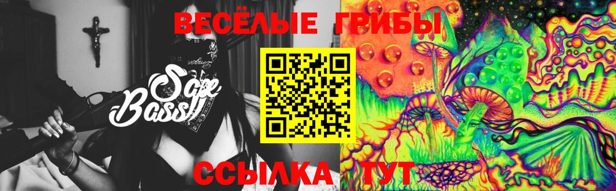 Галлюциногенные грибы мицелий Калининград