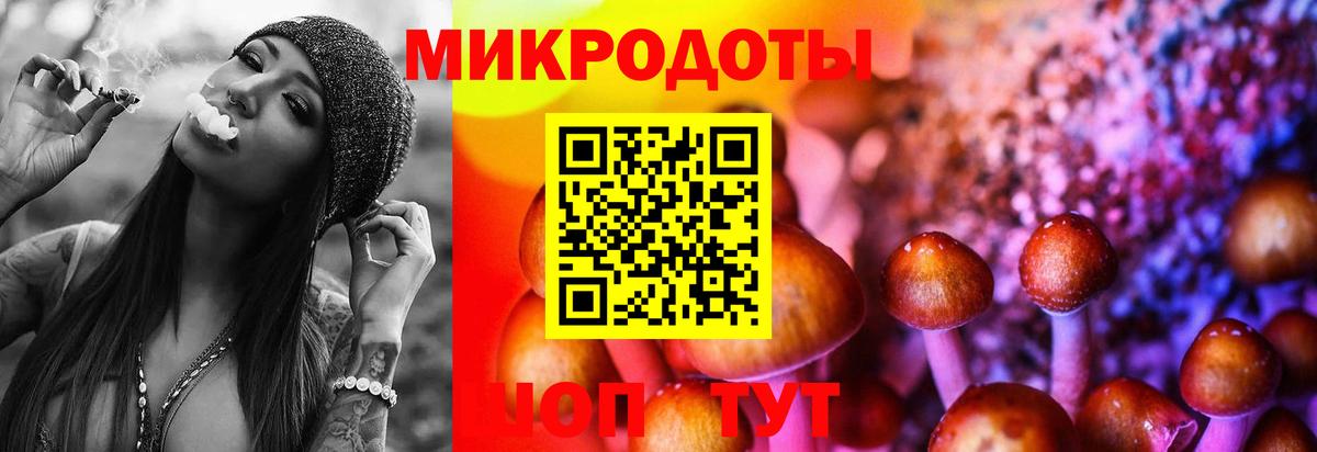 сколько стоит  Галлюциногенные грибы прущие грибы  Калининград  Вход с VPN  Псилоцибиновые грибы GOLDEN TEACHER 